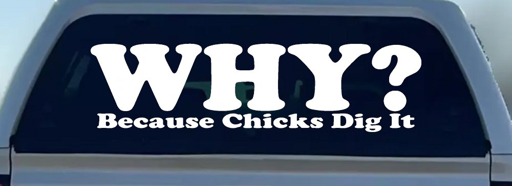 Why Because Chicks Dig It Funny Off Road Car or Truck Window Decal Sticker (White)