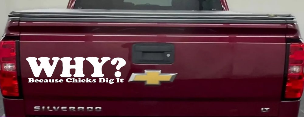 Why Because Chicks Dig It Funny Off Road Car or Truck Window Decal Sticker