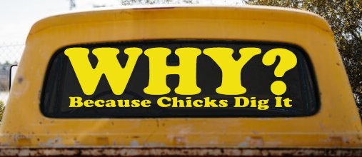 Why Because Chicks Dig It Funny Off Road Truck Car Window Decal Sticker (Yellow)