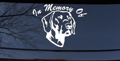In Memory Of Labrador Retriever Car or Truck Vinyl Window Decal Sticker (White)
