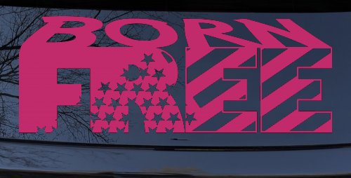 Born Free American Flag Freedom Car or Truck Window Decal Sticker