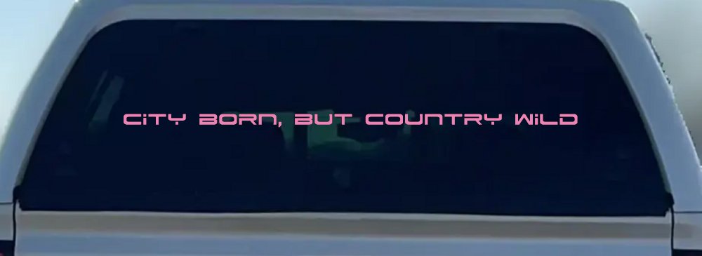 City Born But Country Wild Car or Truck Window Decal Sticker (Pink)