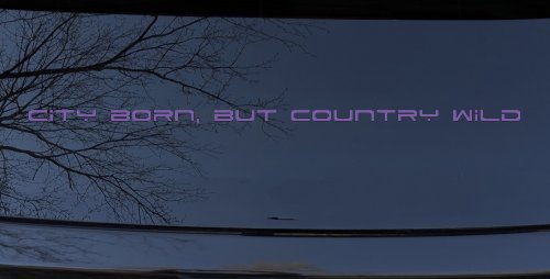 City Born Country Wild Decal - Car Truck Window Sticker Vinyl (Purple)
