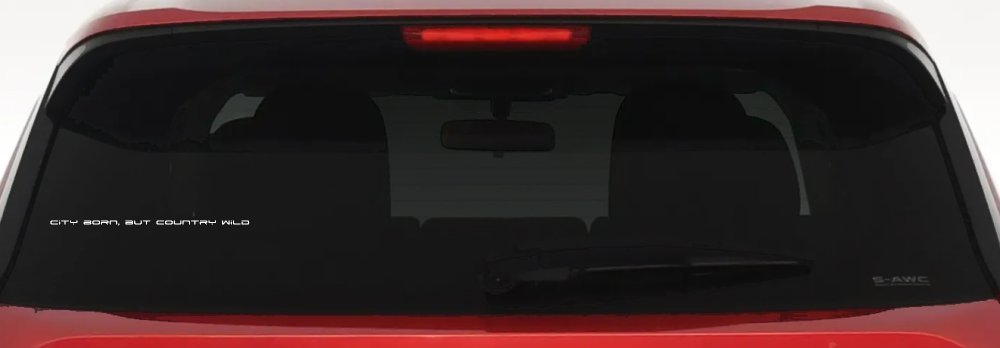 City Born But Country Wild Car or Truck Window Decal Sticker (White)