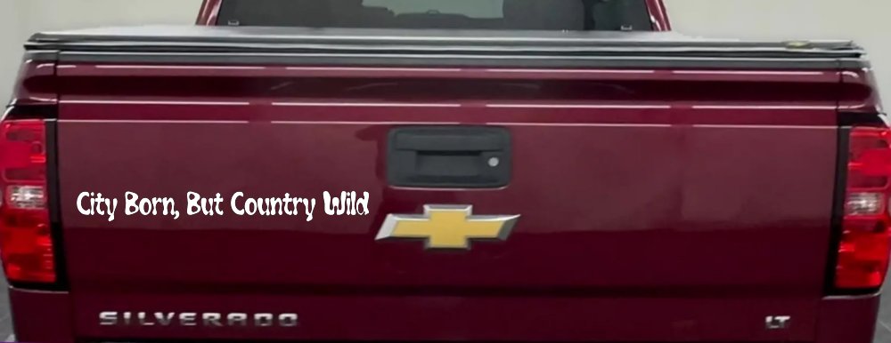 City Born But Country Wild Car or Truck Window Decal Sticker (White)
