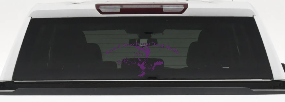 Funny Fast Ball Baseball Pitcher Sports Car or Truck Window Decal Sticker (Violet)