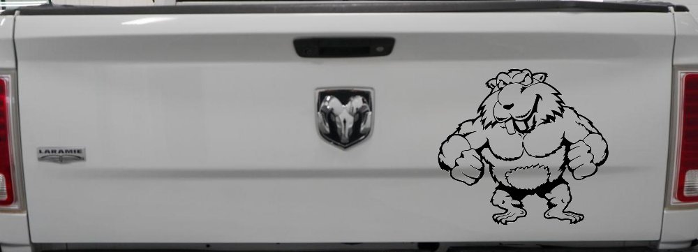 Muscular Beaver Car or Truck Window Decal Sticker
