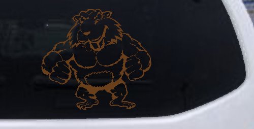 Muscular Beaver Car or Truck Window Decal Sticker