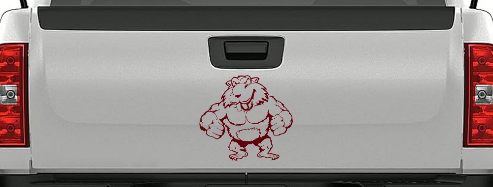 Muscular Beaver Car or Truck Window Decal Sticker