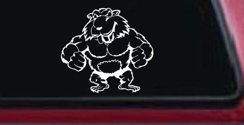 Muscular Beaver Car or Truck Window Decal Sticker