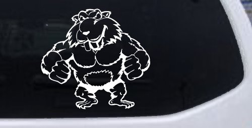 Muscular Beaver Car or Truck Window Decal Sticker (White)