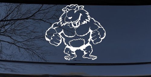 Muscular Beaver Car or Truck Window Decal Sticker (White)