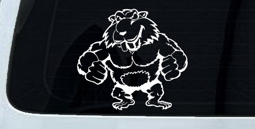 Muscular Beaver Car or Truck Window Decal Sticker