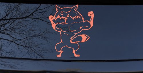 Fox Flexing Muscles Car or Truck Window Decal Sticker