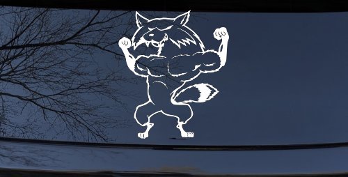 Fox Flexing Muscles Car or Truck Window Decal Sticker