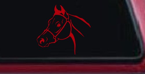 Horse Head Western Farm Ranch Car or Truck Window Decal Sticker