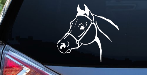 Horse Head Western Farm Ranch Car or Truck Window Decal Sticker