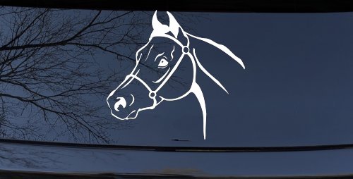 Horse Head Western Farm Ranch Car or Truck Window Decal Sticker (White)