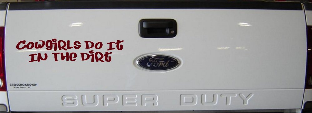 Cowgirls Do It In the Dirt Funny Western Farm Ranch Car or Truck Window Decal Sticker (Purple Red)
