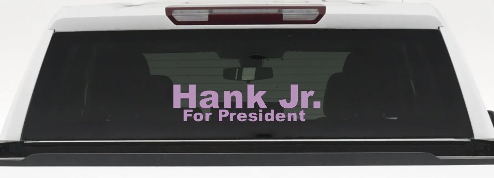 Hank Jr For President Country Car or Truck Window Decal Sticker (Lilac)