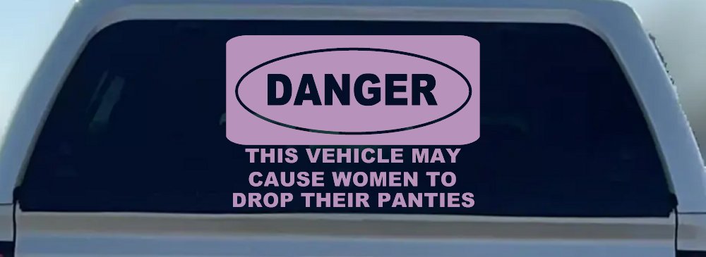 Danger This Vehicle May Cause Women to Drop Their Panties Off Road Motor Sports Car or Truck Window Decal Sticker (Lilac)