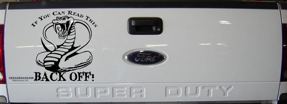 If You Can Read This Back Off Cobra Car or Truck Window Decal Sticker