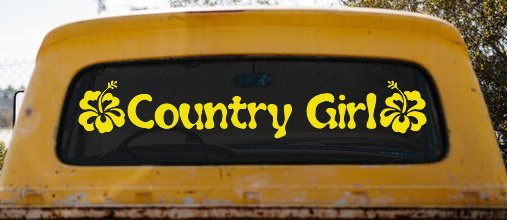 Country Girl With Hibiscus Flowers Car or Truck Window Decal Sticker