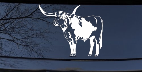 Longhorn Bull Car or Truck Window Decal Sticker