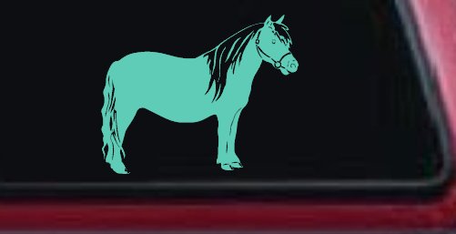 Shelton Pony Car or Truck Window Decal Sticker (Mint)