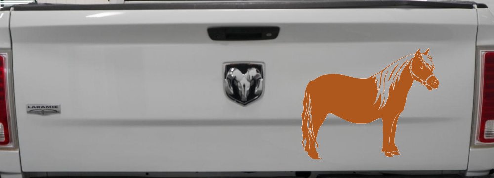 Shelton Pony Car or Truck Window Decal Sticker