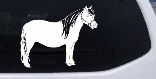 Shelton Pony Car or Truck Window Decal Sticker