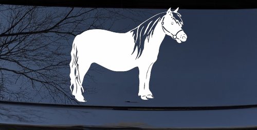 Shelton Pony Car or Truck Window Decal Sticker