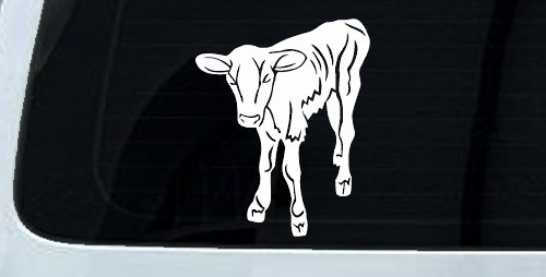 Baby Calf Car or Truck Window Decal Sticker