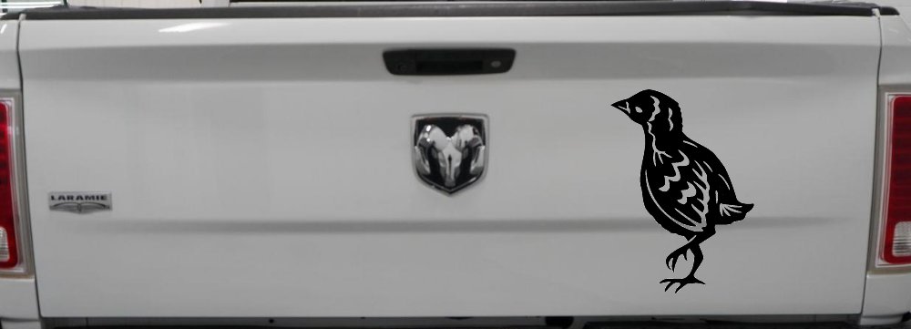 Baby Chick Car or Truck Window Decal Sticker
