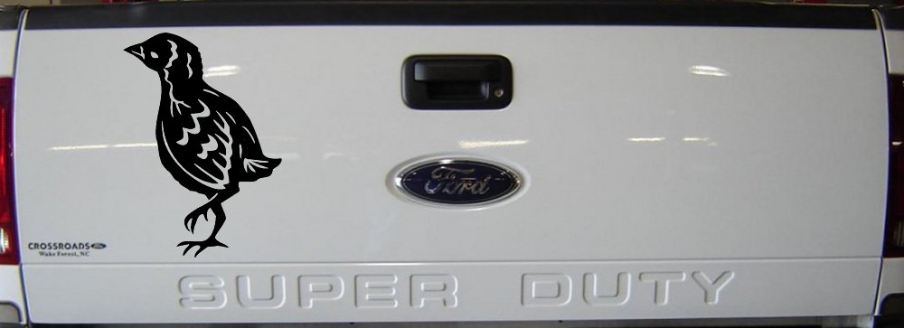 Baby Chick Car or Truck Window Vinyl Decal Sticker (Black)