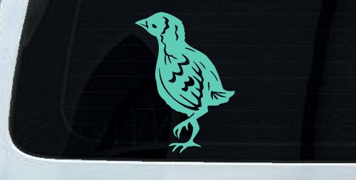 Baby Chick Car or Truck Window Decal Sticker