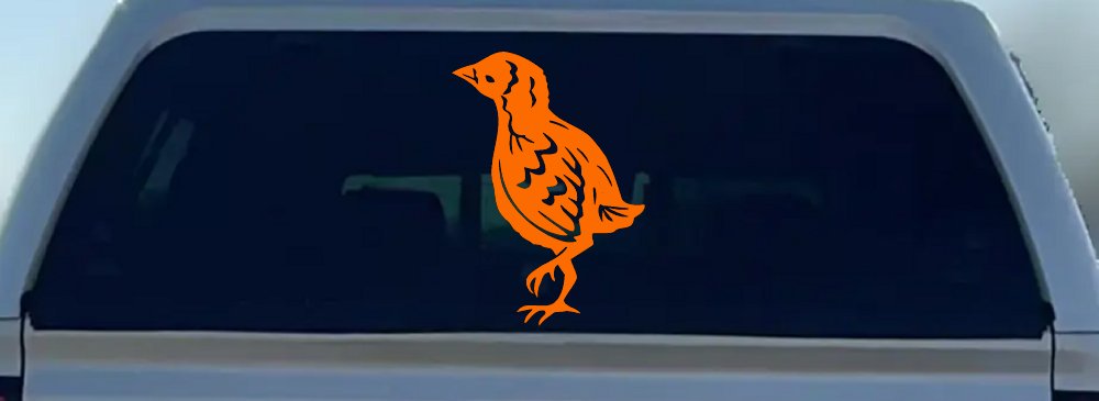 Baby Chick Car or Truck Window Decal Sticker