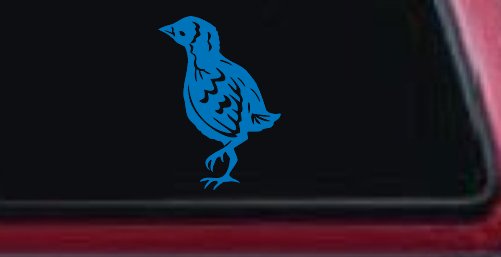 Baby Chick Car or Truck Window Decal Sticker (Sky Blue)