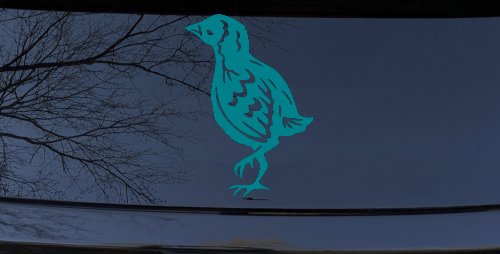Baby Chick Car or Truck Window Decal Sticker (Turquoise Blue)