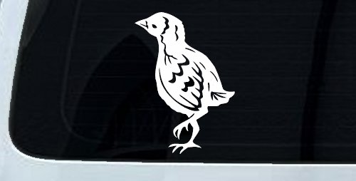 Baby Chick Car or Truck Window Decal Sticker (White)