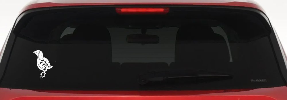 Baby Chick Car or Truck Window Vinyl Decal Sticker (White)