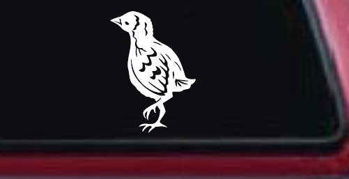Baby Chick Car or Truck Window Decal Sticker