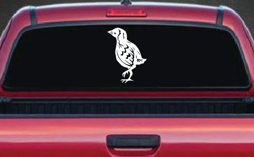 Baby Chick Car or Truck Window Decal Sticker