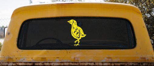 Baby Chick Car or Truck Window Decal Sticker