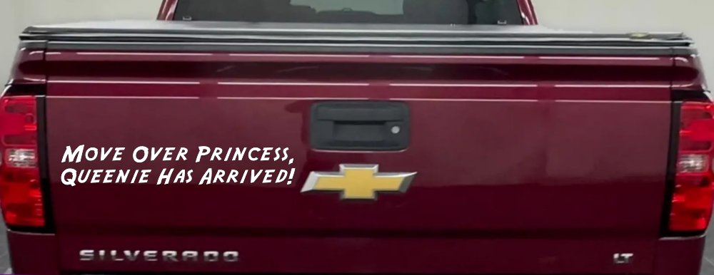 Move over Princess Queenie Has Arrived Funny Car or Truck Window Decal Sticker