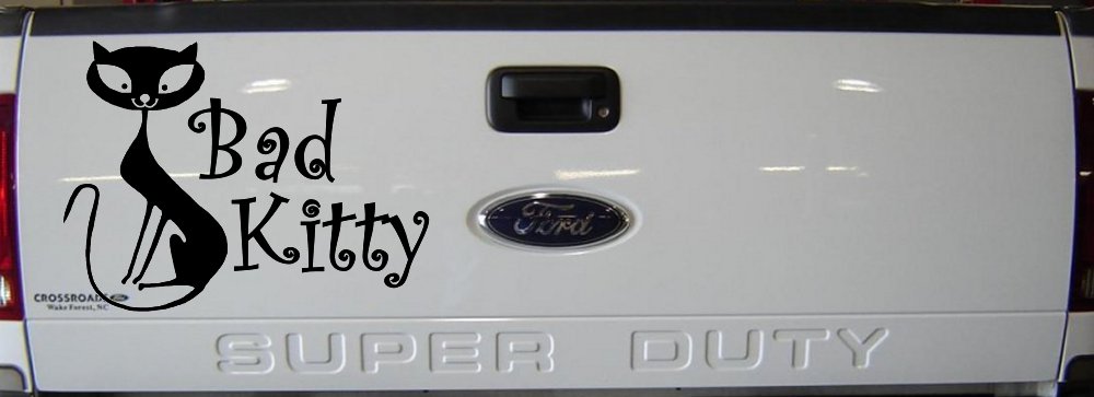 Slim Cat Bad Kitty Car or Truck Window Vinyl Decal Sticker (Matte Black)