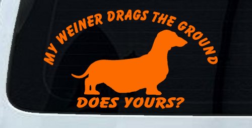 My Weiner Drags the Ground Does Yours Dachshund Dog Car or Truck Window Vinyl Decal Sticker (Orange)