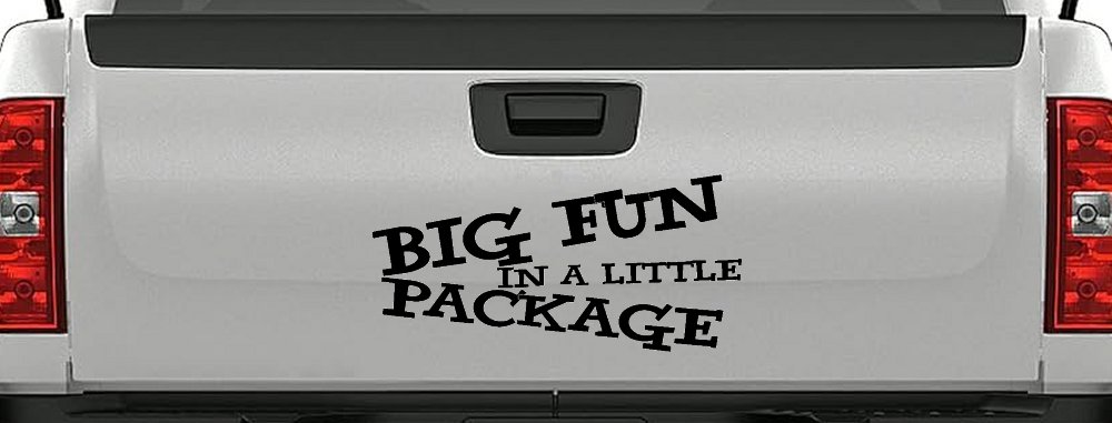Big Fun In A Little Package Funny Car or Truck Window Decal Sticker (Black)