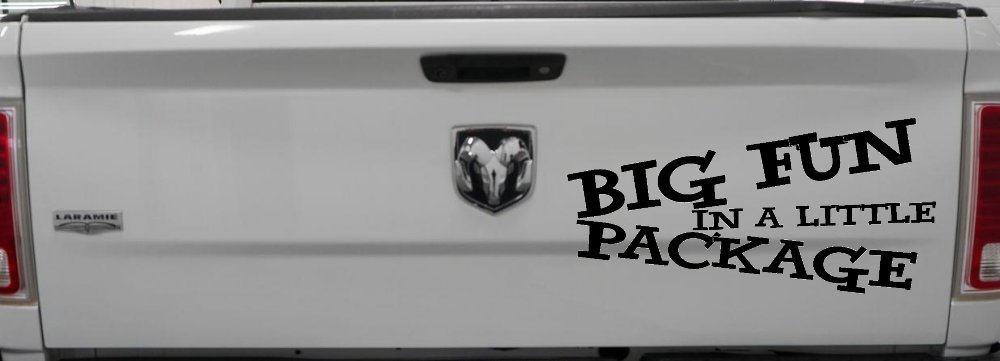 Big Fun In A Little Package Funny Car or Truck Window Decal Sticker (Black)