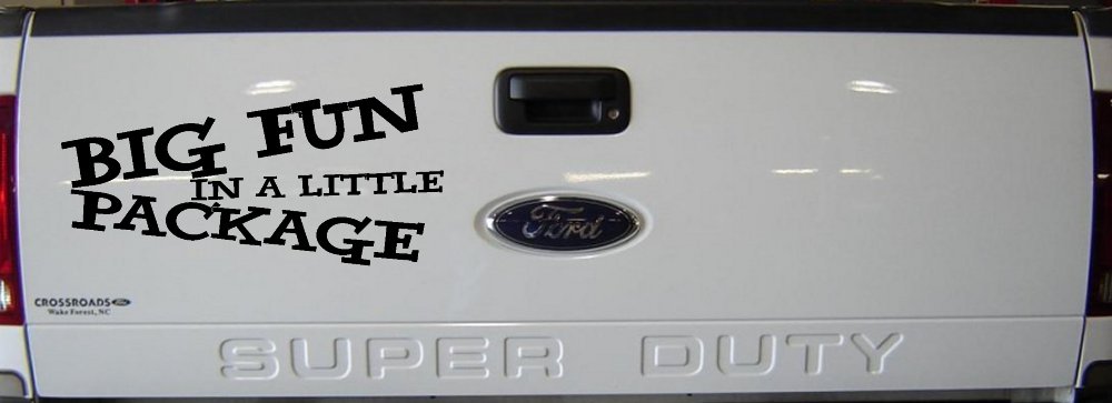 Big Fun In A Little Package Funny Car or Truck Window Decal Sticker